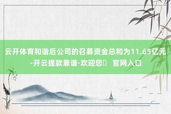 云开体育和谐后公司的召募资金总和为11.65亿元-开云提款靠谱·欢迎您✅ 官网入口