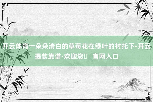 开云体育一朵朵清白的草莓花在绿叶的衬托下-开云提款靠谱·欢迎您✅ 官网入口